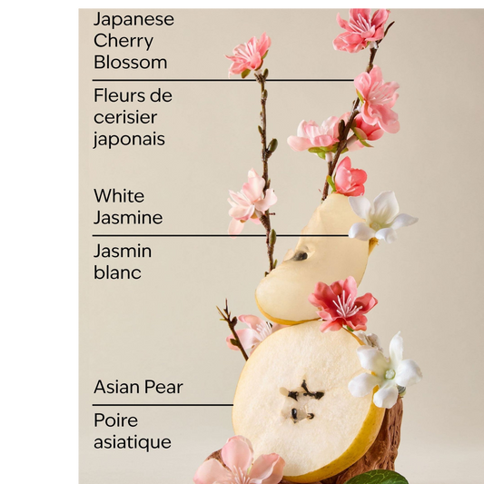 Bath And Body Works Japanese Cherry Blossom Body Wash 295ML - image 2 of 2