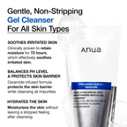 Anua Hyaluronic Acid 8 Panthenol 150ML