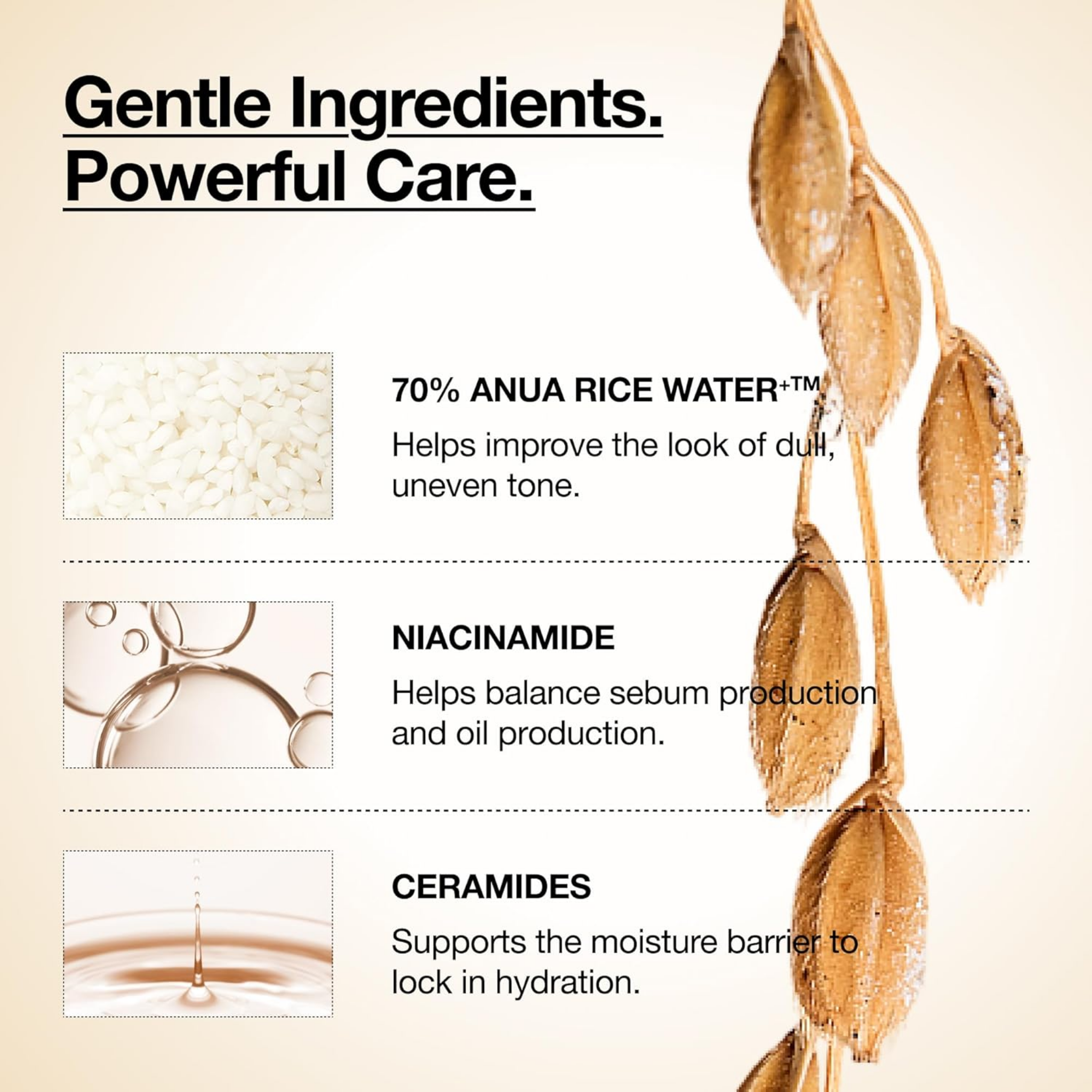 Anua Milky Toner 150ML
