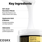 COSRX Advanced Snail 92 All in One Cream 100g