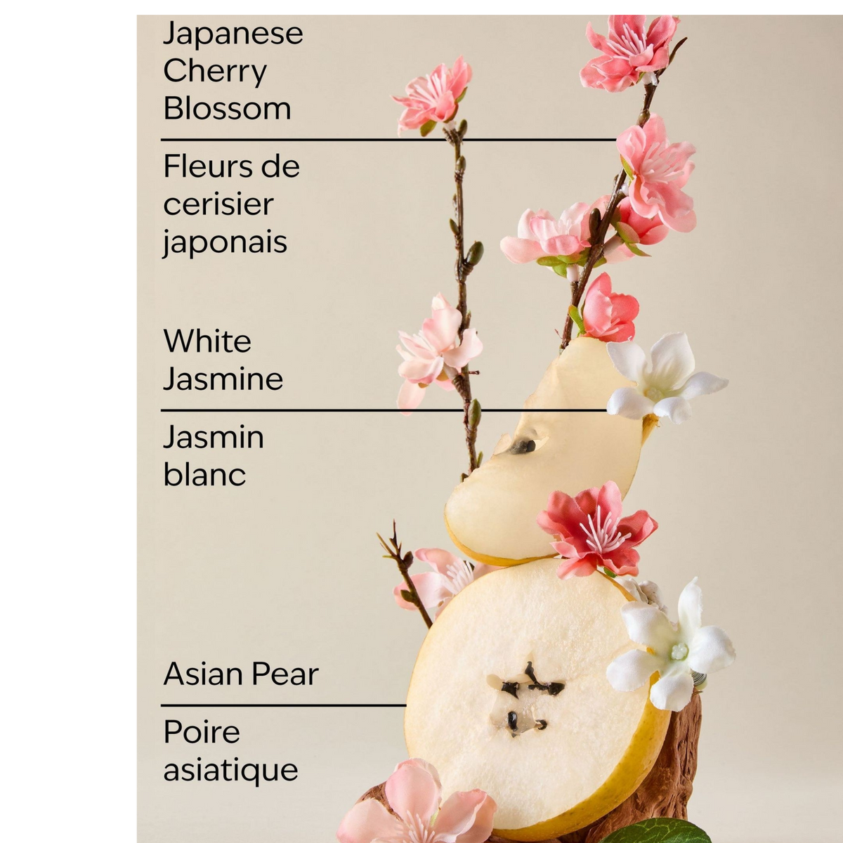 Bath And Body Works Japanese Cherry Blossom Body Lotion 236ML - image 2 of 2