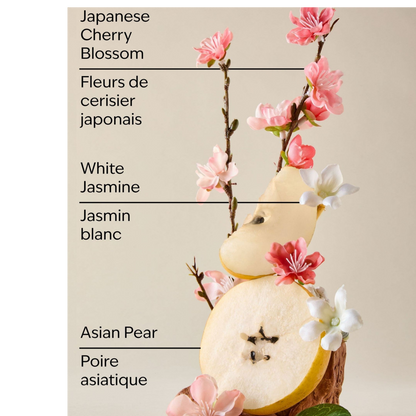 Bath And Body Works Japanese Cherry Blossom Body Lotion 236ML - image 2 of 2