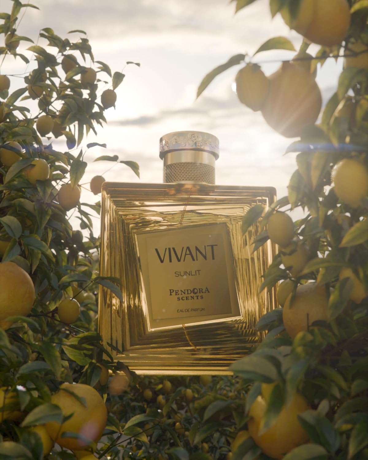 Pendora Scents Vivant Sunlit 100ML, image 3