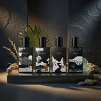 IBRAQ Mini LTHR Collection 4×10ml